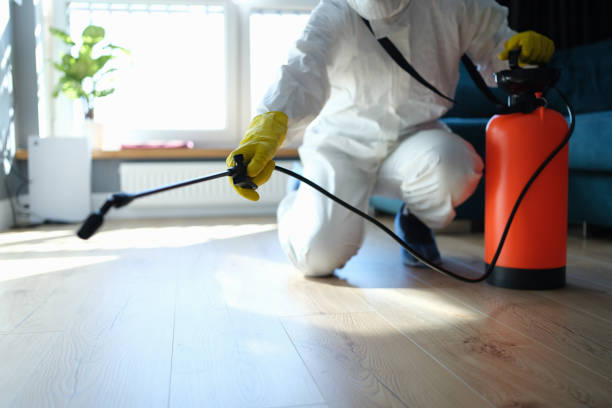 Reliable Sewage Cleanup contractor in Lakewood, NY by Trauma Clean Pros